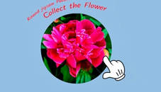 Round jigsaw Puzzle - Collect the Flower