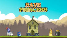 Save Princess