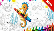Sea Animal Coloring Book