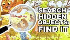 Search Hidden Objects Find It