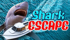 Shark Escape