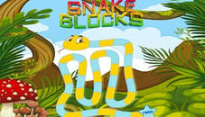 Snake Blocks