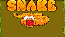 Snake Game