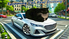 Spinning Cat Real Driving