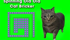 Spinning Oia Oia Cat Bricker