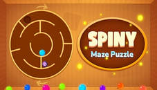 Spiny Maze Puzzle