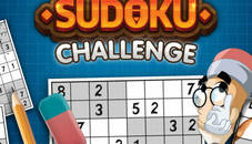 Sudoku Challenge