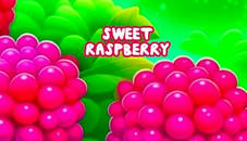 Sweet Raspberry