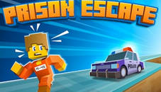 The Prison Escape