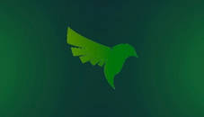 Turn On the Green Lights