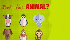 What's That Animal