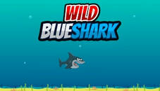 Wild Blueshark