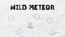 Wild Meteor