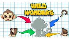 Wild Wonders