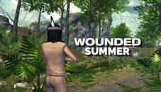 Wounded Summer