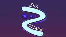 Zig Snake